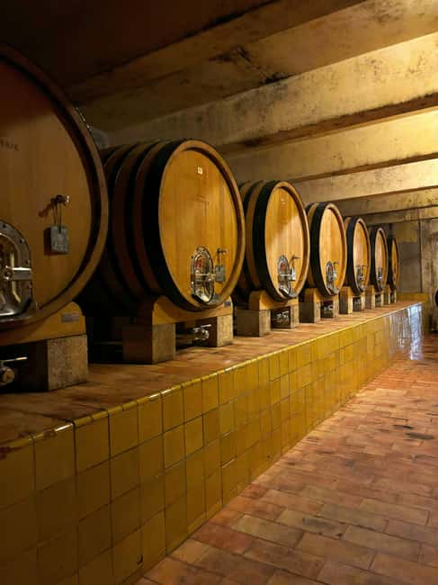 Luberon: Full-Day Wine Tour from Marseille - The second winery and a closer look at local bottles