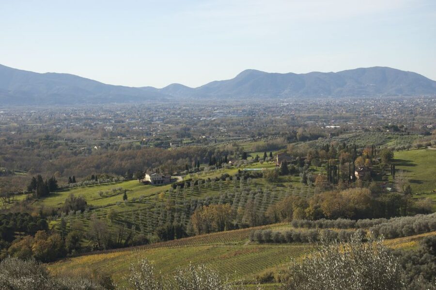 Lucca: Guided E-Bike and Wine Tour - The return ride and the three-and-a-half-hour pace