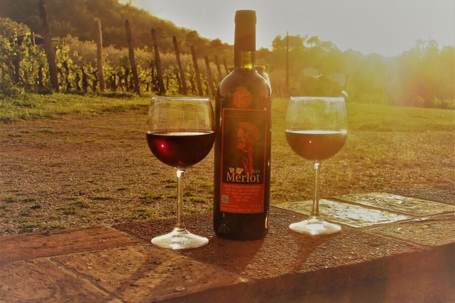 Lucca: Guided E-Bike and Wine Tour - Meeting at Piazzale Ricasoli