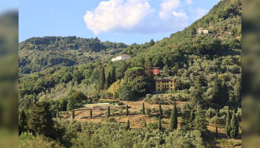 Lucca: Guided Winery Tour with Wine Tasting - The panoramic terrace and the first pour