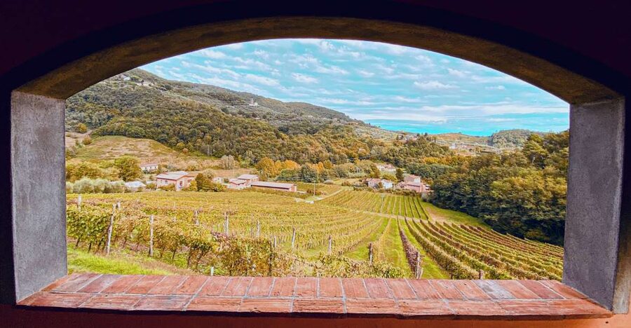 Lucca: Guided Winery Tour with Wine Tasting - Small details that make the afternoon easier