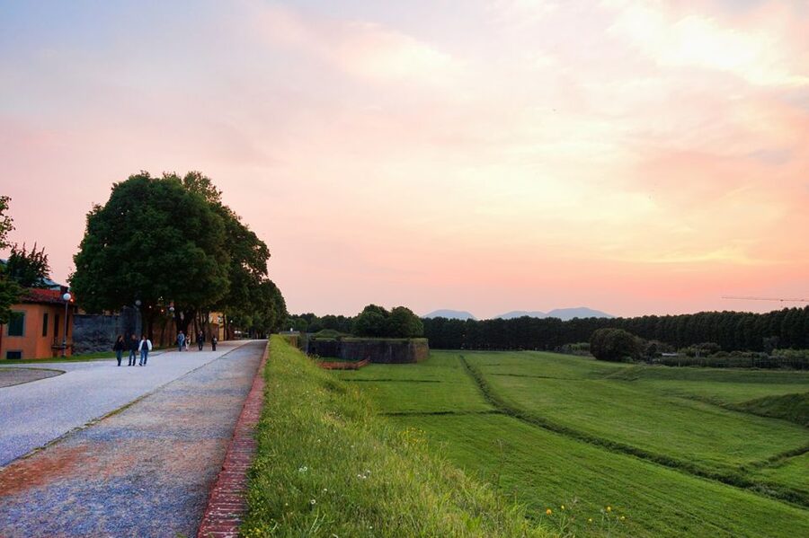 Lucca: Picnic Lunch at a Vineyard by Bike - Key points to know before you book