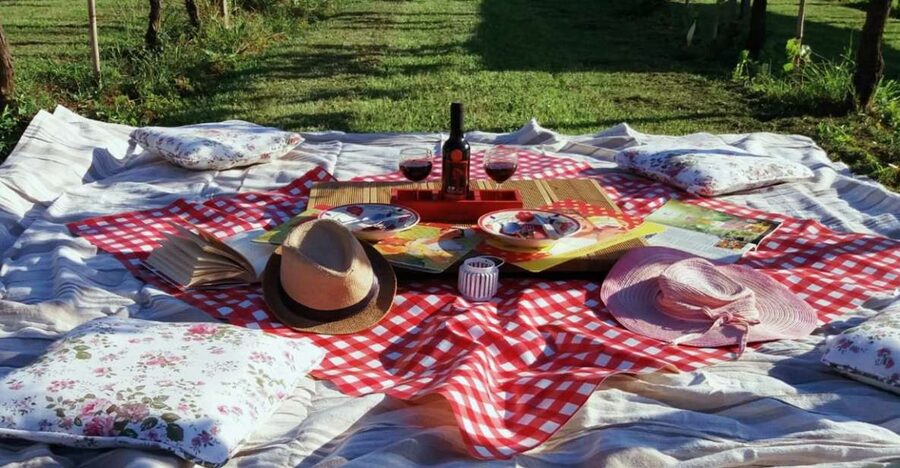 Lucca: Picnic Lunch at a Vineyard by Bike - Standard bike or e-bike?
