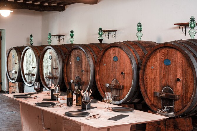 Lucca: Wine Tasting Experience - Tenuta Adamo Winery - The cellar visit: useful, but deliberately brief