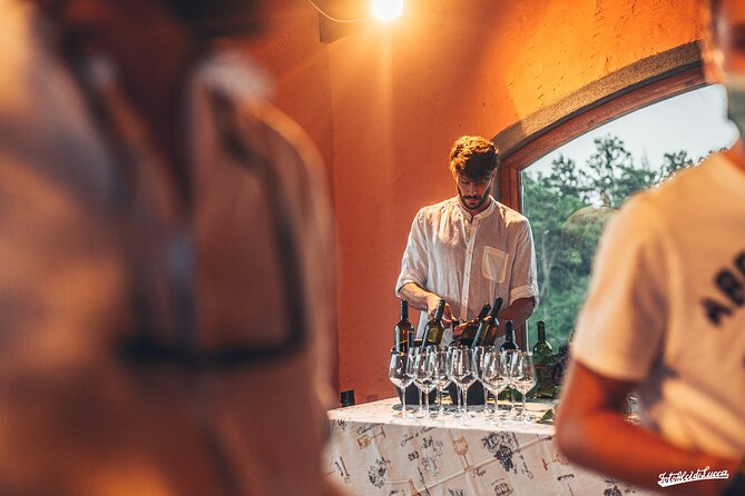 Lucca: Wine Tasting Experience - Tenuta Adamo Winery - Bread, focaccia, olive oil, and optional charcuterie