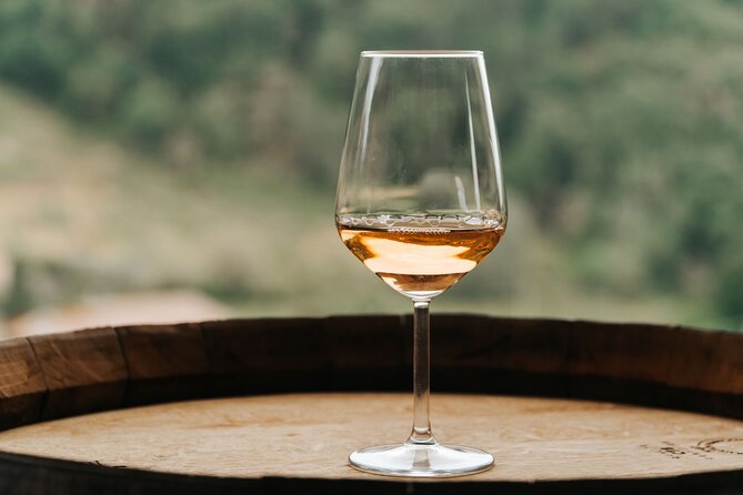 Lucca: Wine Tasting Experience - Tenuta Adamo Winery - A social tasting, not always a private one