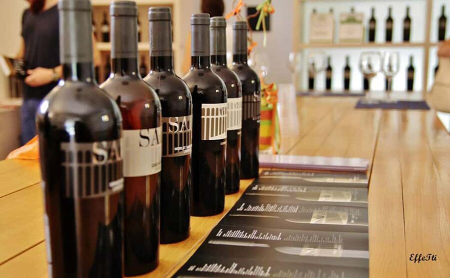 Lunch and tasting 5 wines + walk in the panoramic vineyards - SAIO Assisi, a wine stop beside Saint Francis