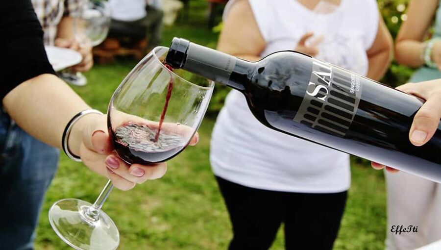 Lunch and tasting 5 wines + walk in the panoramic vineyards - How much value do you get for $44?