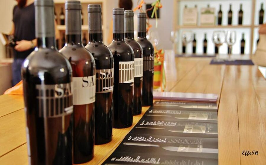 Lunch and tasting 5 wines + walk in the panoramic vineyards - FAQ