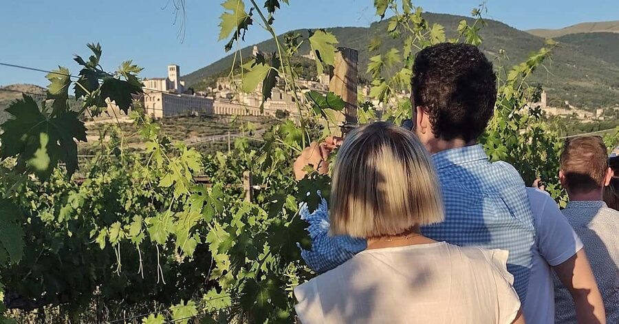 Lunch and tasting 5 wines + walk in the panoramic vineyards - What happens during the wine tasting