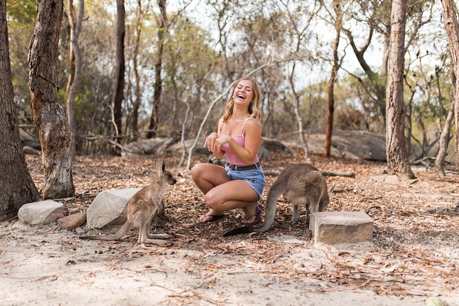 Luxury Hunter Valley Wildlife & Wine Tasting Tour from Sydney - Should you book the Sydney wildlife and wine tour?