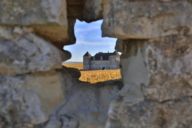 Luxury Luxury Wine Tour Experience - Why this Burgundy tour is different