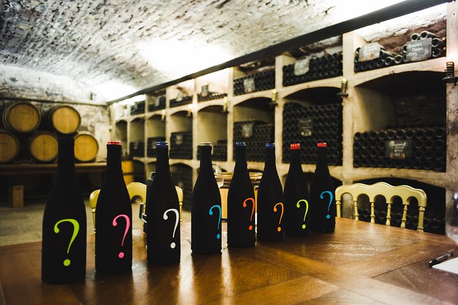 Luxury Luxury Wine Tour Experience - Three estates, three ways to make wine