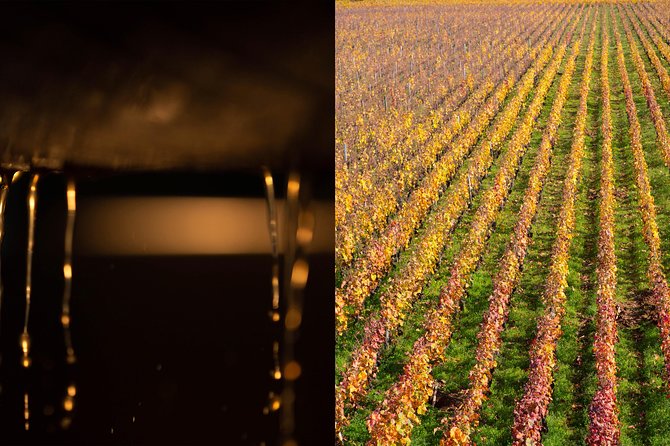 Luxury Luxury Wine Tour Experience - Eighteen wines, including eight top classifications