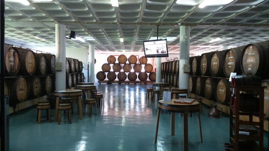 Madeira: Cabo Girao, Jeep Tour Adventure and Wine Tasting - Madeira wine tasting at the cellar