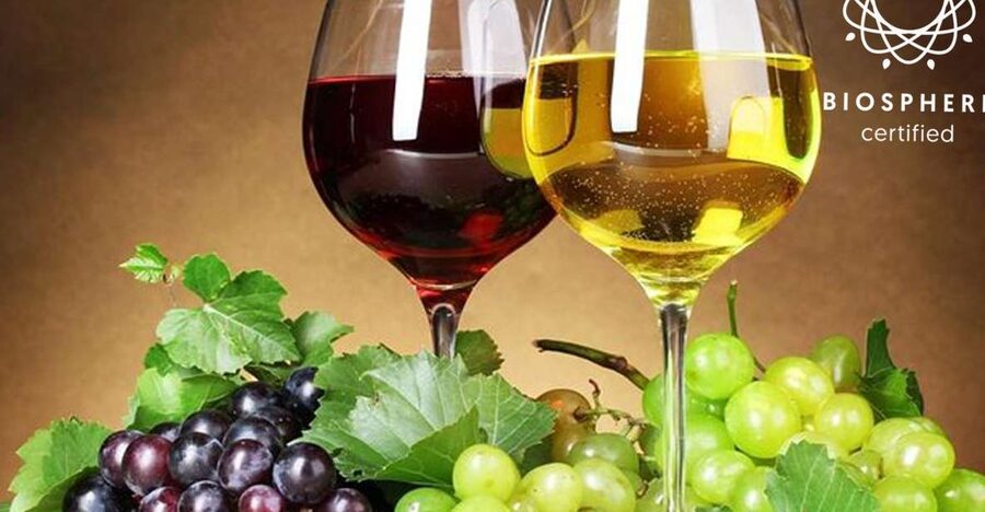 Madeira: Signature Wine Tasting, Skywalk & Nature Expedition - Key points to know before booking