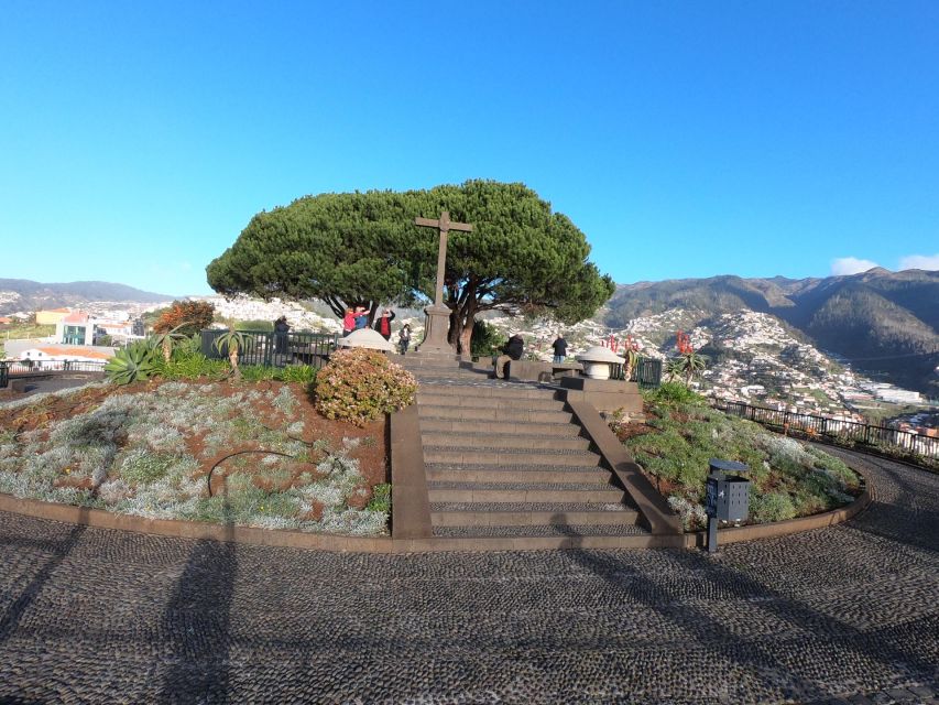 Madeira: Signature Wine Tasting, Skywalk & Nature Expedition - Quinta do Barbusano and six table wines