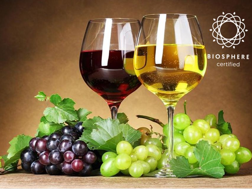 Madeira: Signature Wine Tasting, Skywalk & Nature Expedition - Henriques & Henriques in Câmara de Lobos