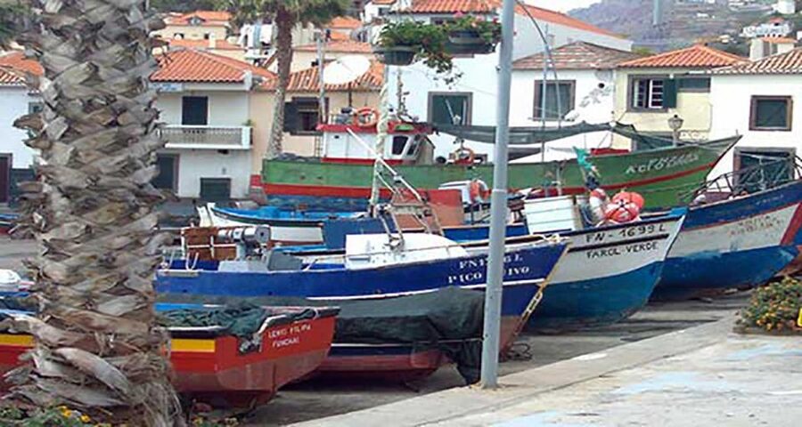 Madeira: Vineyard Tour w/ Wine Tasting & Skywalk - Who will get the most from this tour