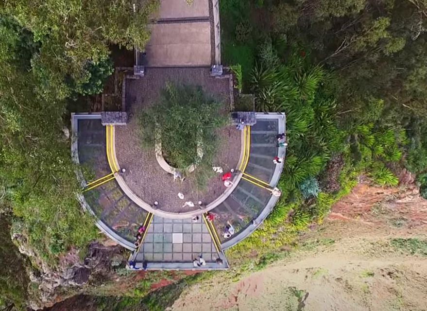 Madeira: Vineyard Tour w/ Wine Tasting & Skywalk - Should you book the Madeira vineyard and skywalk tour?