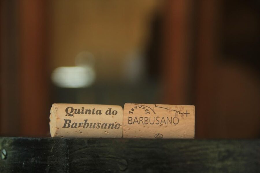 Madeira: Wine & Tapas, Cabo Girão Skywalk 4x4 Jeep Adventure - Chão dos Louros and the mountain viewpoints