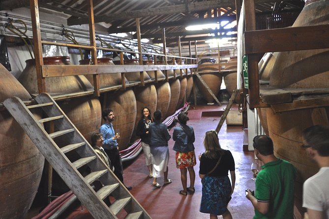 Madrid Countryside Wineries Guided Tour with Wine Tasting - Key details to know before booking