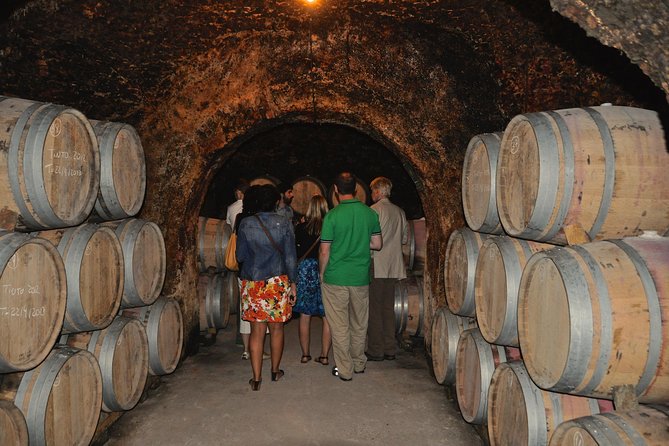 Madrid Countryside Wineries Guided Tour with Wine Tasting - Señorío de Val Azul and the organic vineyard