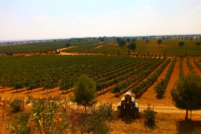 Madrid Countryside Wineries Guided Tour with Wine Tasting - Bodegas Jesús Díaz e Hijos and the old clay jars
