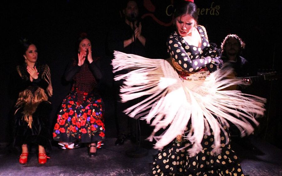 Madrid: Flamenco Show with Tapas and Wine Tour - The first tapas stop: mushrooms, peppers, and a drink