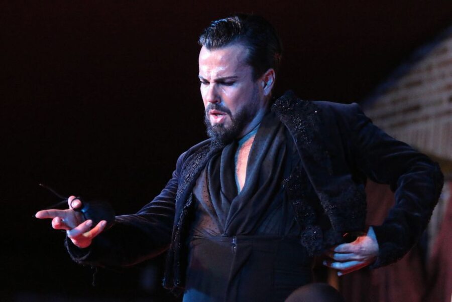 Madrid: Los Porches Flamenco Show with Tapas and Wine Ticket - Who will enjoy this most?