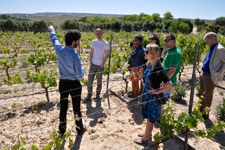 Madrid Region Wineries Guided Tour with Wine Tastings - Chinchón: a historic town with wine in its walls