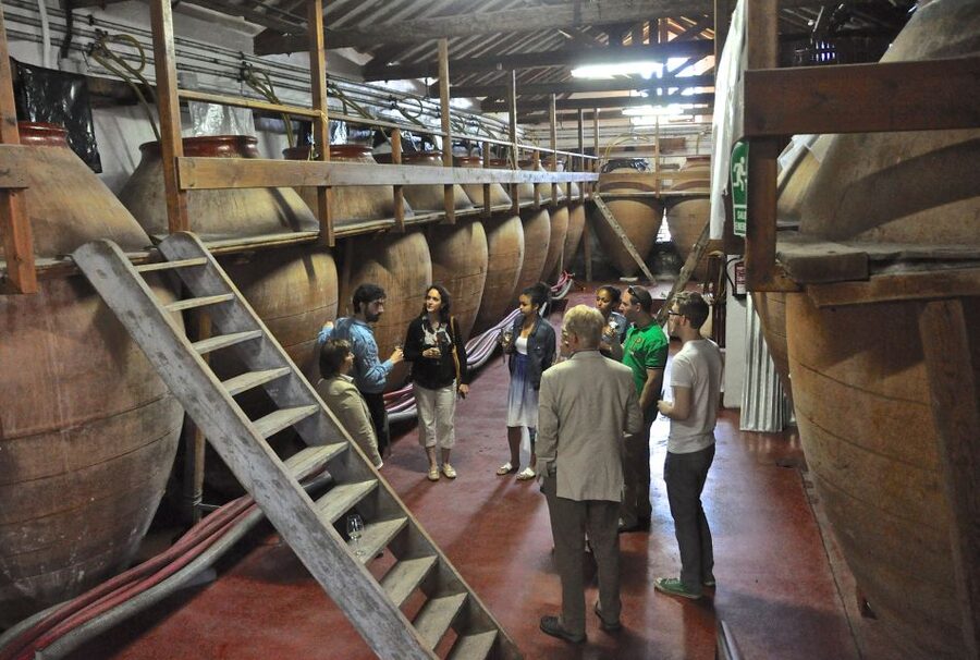 Madrid Region Wineries Guided Tour with Wine Tastings - How the six-hour schedule feels