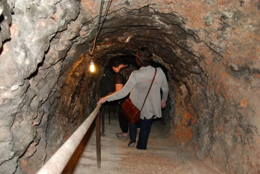 Madrid Region Wineries Guided Tour with Wine Tastings - Who should book this experience?