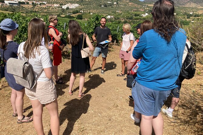 Malaga Organic Vineyard and Winery Six Wines Tapas and Transfer - Key points at a glance