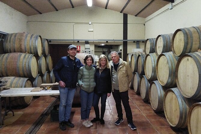 Malaga Organic Vineyard and Winery Six Wines Tapas and Transfer - Leaving Málaga for the hills