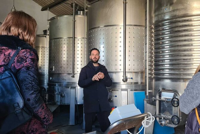 Malaga Organic Vineyard and Winery Six Wines Tapas and Transfer - Five wine pairings and a full tapas table