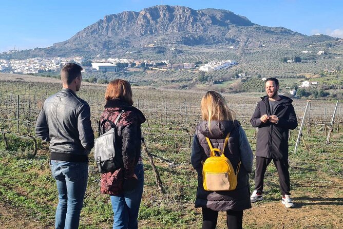 Malaga Organic Vineyard and Winery Six Wines Tapas and Transfer - What the organic approach adds