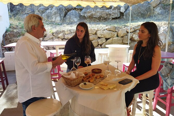 Malaga Organic Vineyard and Winery Six Wines Tapas and Transfer - The return to Plaza de la Marina