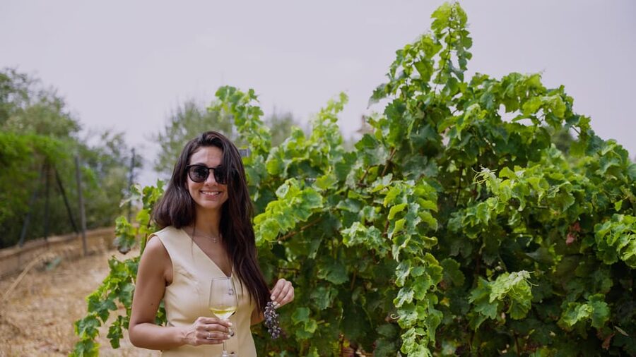 Malaga: Organic Vineyard Tour with 6 Wines, Tapas & Transfer - From Plaza de la Marina to the Andalusian hills