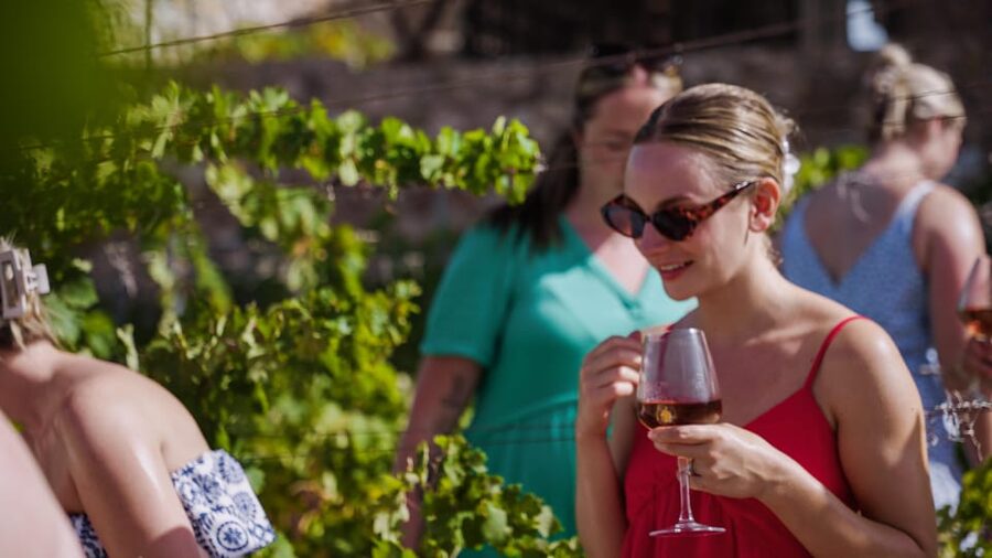 Malaga: Organic Vineyard Tour with 6 Wines, Tapas & Transfer - The move to Antonio’s small production cellar