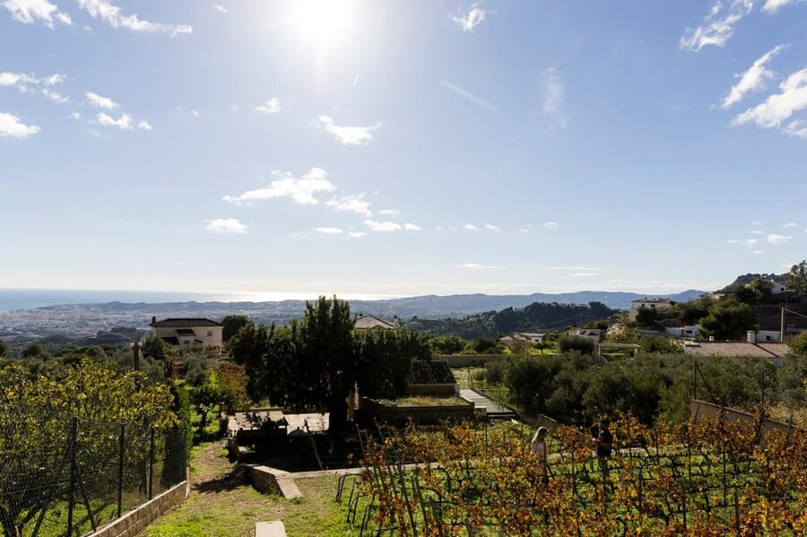 Malaga: Organic Vineyard Tour with 6 Wines, Tapas & Transfer - The barrel tasting is the most memorable detail
