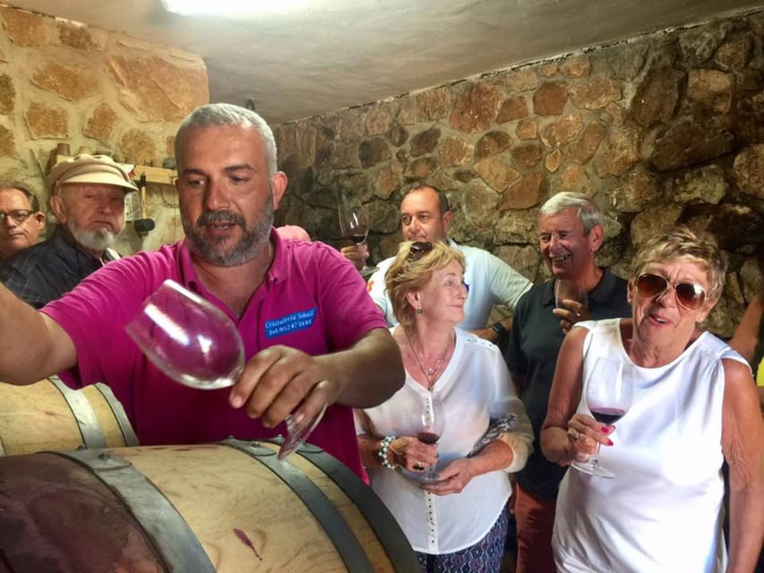 Malaga: Organic Vineyard Tour with 6 Wines, Tapas & Transfer - Tapas that do more than fill the table