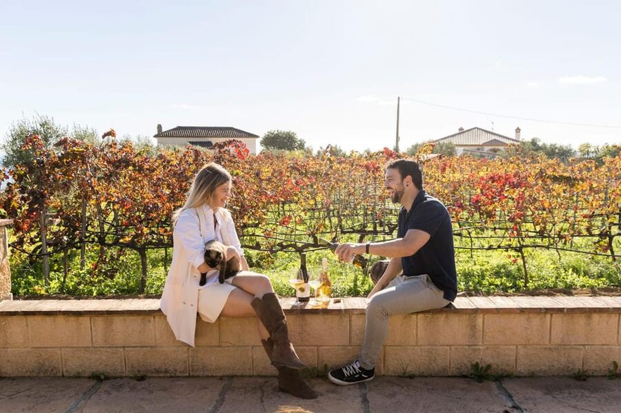Malaga: Organic Vineyard Tour with 6 Wines, Tapas & Transfer - Why the small group changes the mood