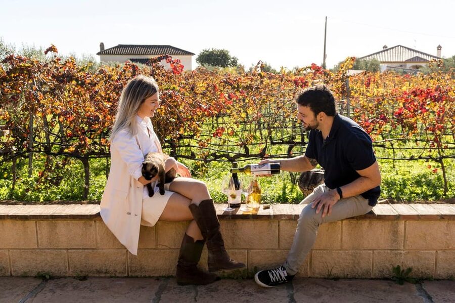 Malaga: Organic Vineyard Tour with 6 Wines, Tapas & Transfer - Viñedo Malvajio and the short vineyard walk