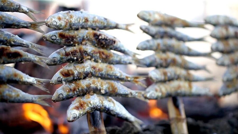 Malaga: PREMIUM TAPAS TOUR Paella, Tapas, Winery & Flamenco - Language, pace, and group comfort
