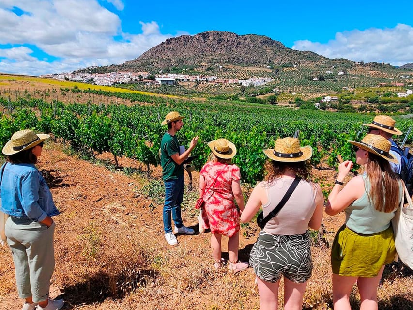 Malaga: White Village, Vineyard, and Wine Tasting Wine Tour - Why Álora makes this more than a standard wine tour