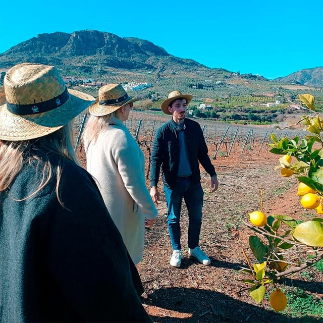 Malaga: White Village, Vineyard, and Wine Tasting Wine Tour - Booking details worth keeping in mind