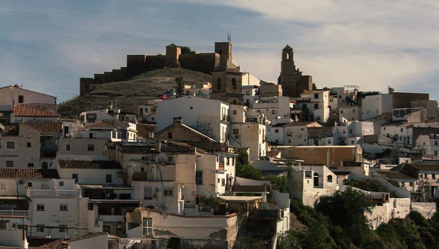 Malaga: White Village, Vineyard, and Wine Tasting Wine Tour - What the $106 price really covers