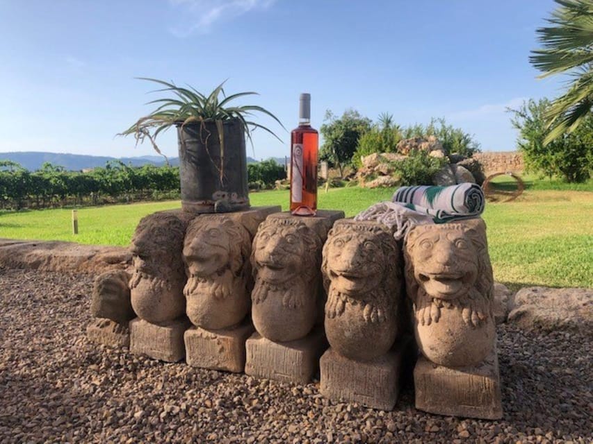 Mallorca: Bodega Butxet Vineyards & Winery Tour with Tasting - Key points to know before you book