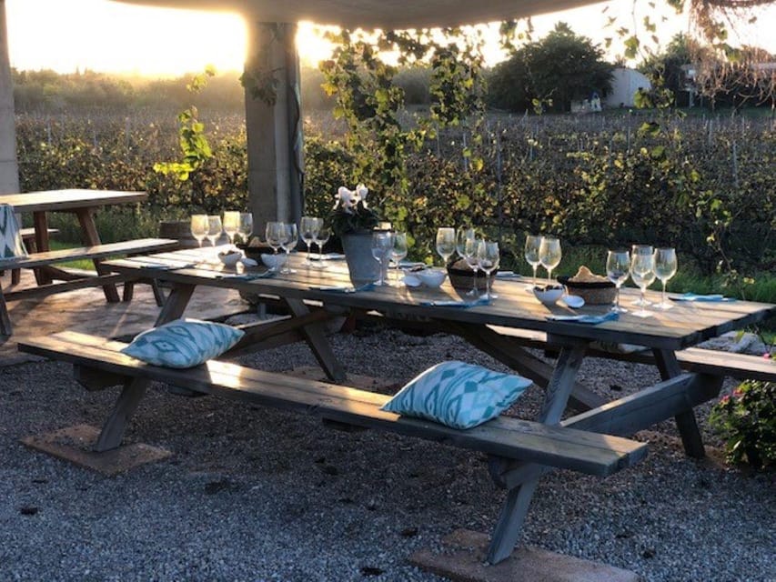 Mallorca: Bodega Butxet Vineyards & Winery Tour with Tasting - Why the $26 price works well